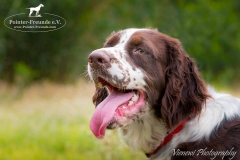 13450766_1776772045887884_4759125933614523229_n