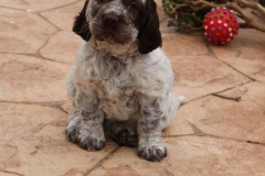 12038367_1738575233040899_3233885335164980335_n