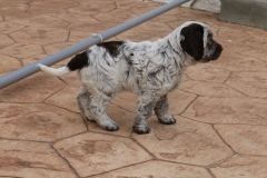 12801264_1738575249707564_4146193732930482806_n