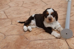 11059608_1738549056376850_7767998638328341418_n