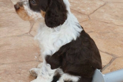 12439297_1738549039710185_4156210570142369147_n