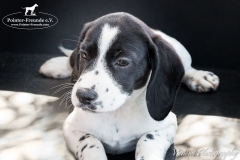 13094109_1757741851124237_2362357433216043505_n