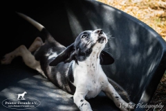 13164307_1757741891124233_1263002526450831986_n