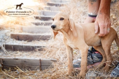 13680817_1791276854437403_4902092791694832426_n