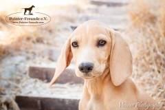 13769430_1791276837770738_4647205177828299600_n