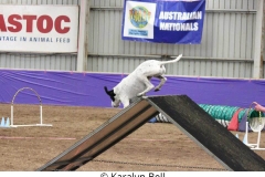 Karalyn Bell_Agility_Name unter die Fotos (9)