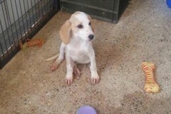 11049655_1690248331206923_6457475358486598160_n