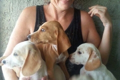 11219345_1690248404540249_3386713053919424265_n