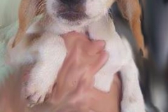 11707306_1690248367873586_5096579074892304511_n