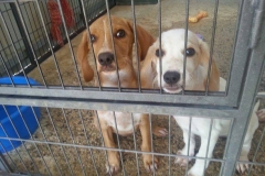 12196168_1690248334540256_732959136062864925_n