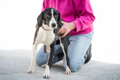 12718181_1724896994408723_47207733196922391_n