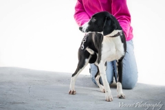 12741901_1724896964408726_8686271872006200523_n