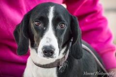 12741992_1724896961075393_2004023597436418585_n