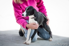 12742350_1724896967742059_9060246176328948944_n