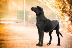 11215744_1701721626726260_2903792238413996052_n