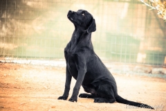 12376537_1701721613392928_7433902153847000242_n