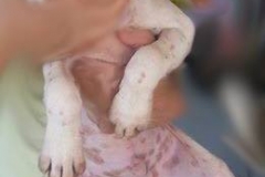 12046783_1688428308055592_7543403093941957552_n