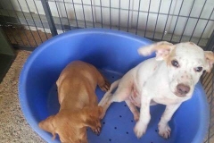 12046783_1688428341388922_3408412798807243595_n