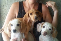 12187921_1688428311388925_1520566254148105921_n