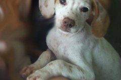 12193401_1688428314722258_4182621886958773399_n