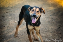 12341406_1701393326759090_7043106449075751248_n