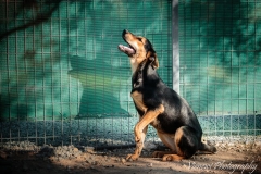 12341496_1701393260092430_8253080859144694465_n