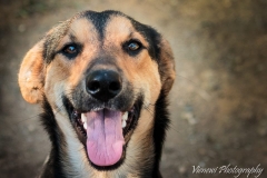 12342387_1701393250092431_6204549278913608616_n