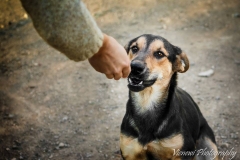 12346593_1701393296759093_3487028537725839333_n