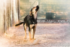 12373345_1701393246759098_5034707844092512090_n