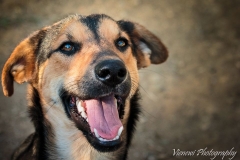 12391212_1701393290092427_162821992227334030_n