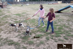 20180828_163802 - Copy - Copy - Copy - Copy