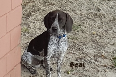 20180828_163802- Copy