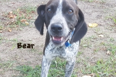 20180904_122629(0) - Copy - Copy