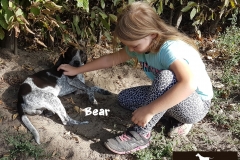 20180908_112259 - Copy