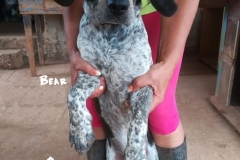 37182528_1387570488054200_1654511313264574464_n