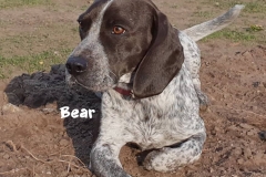 42516566_1162593023893667_6846400061367123968_n