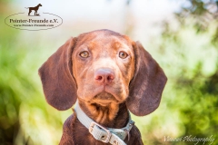 14316751_1816284461936642_2075554718960266003_n