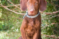 14317322_1816284458603309_6716788819482205327_n