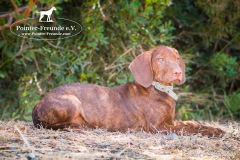 14322202_1816284511936637_3979755535086479052_n