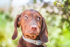 14368651_1816284471936641_8379310845119611241_n