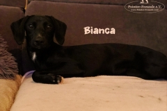 bianca_1