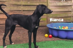 bianca_2