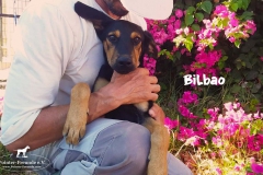 bild_1