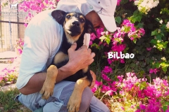 bild_4