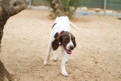 12079846_1685605491671207_2094377069856153601_o