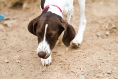 12091186_1685605455004544_2868109397458314020_o