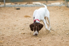 12091223_1685605461671210_5500521090344819942_o