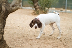 12113346_1685605501671206_3550186385050146032_o