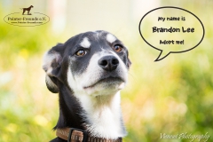 Brandon Lee IMG_2917-960