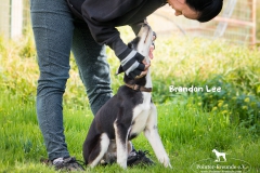 Brandon Lee IMG_2978-960